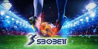 Một số lý do nên chọn Sbobet Mksport cá cược