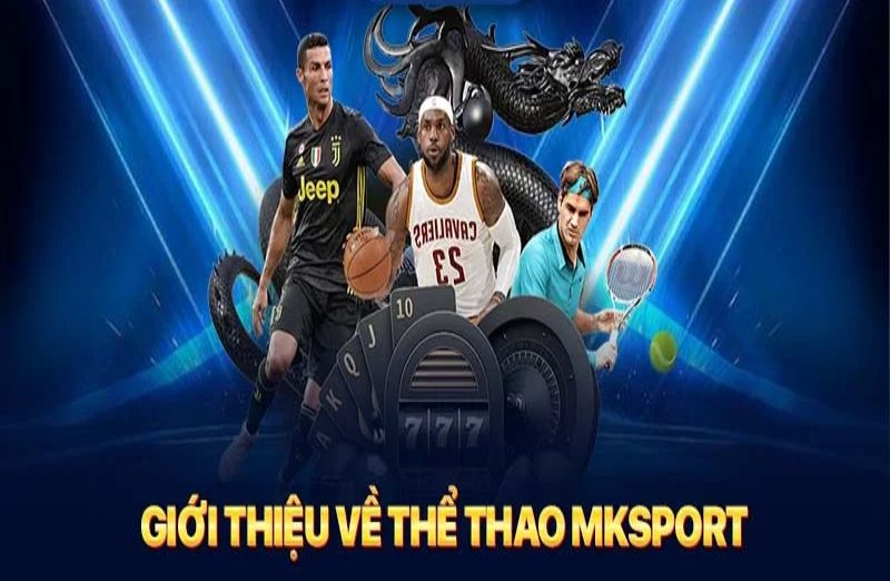 Thể Thao Mksport – Nhà cái cá cược uy tín chuyên nghiệp